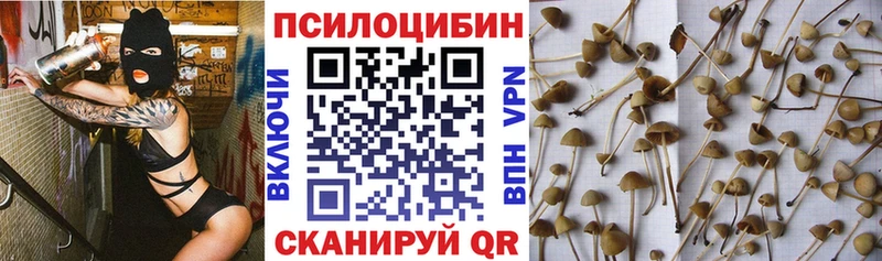 даркнет сайт  Рыбное  Псилоцибиновые грибы Psilocybine cubensis 